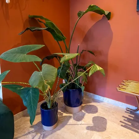 3 Chambres Spacieux Et Agreable Ницца