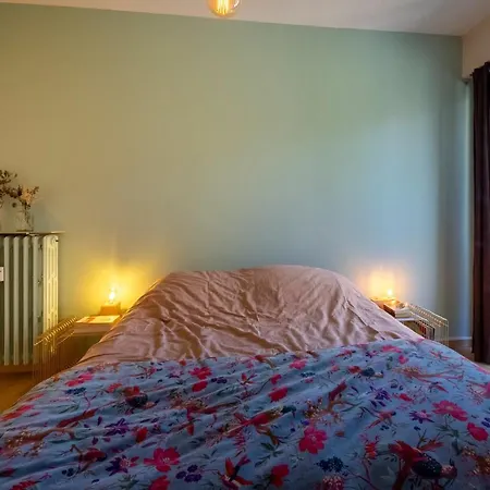 Апартаменты 3 Chambres Spacieux Et Agreable *